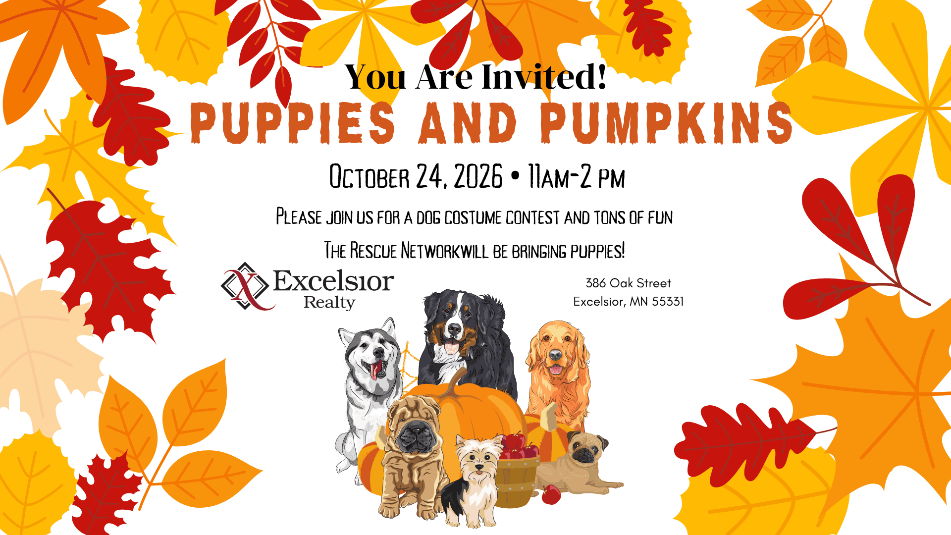 Excelsior Realty Puppies & Pumpkins